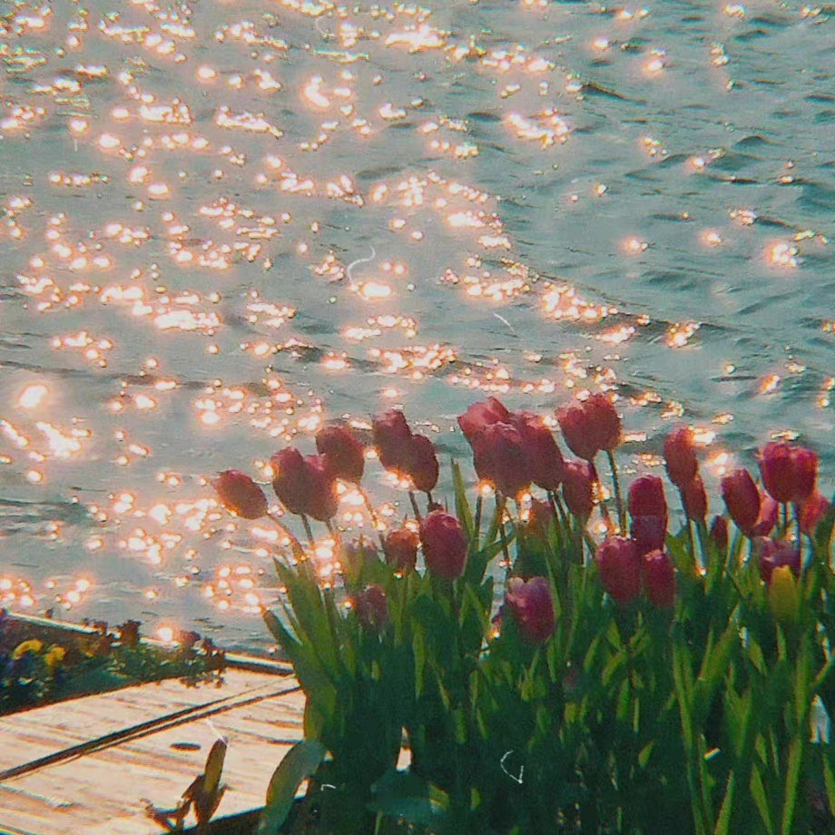 又霸气又高冷的女生头像 背景图片盘点