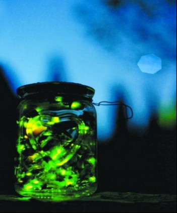 ө���Ϊʲô�ᷢ�� ��֪�������ө��淢��ô