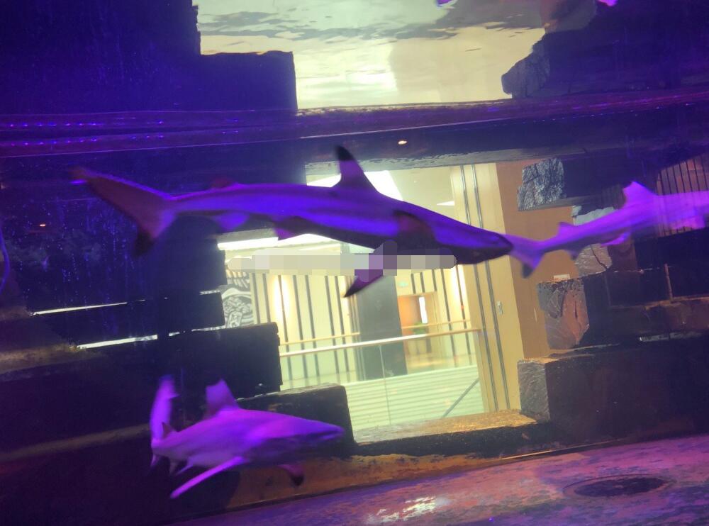 ������������ �����������༰ͼƬ