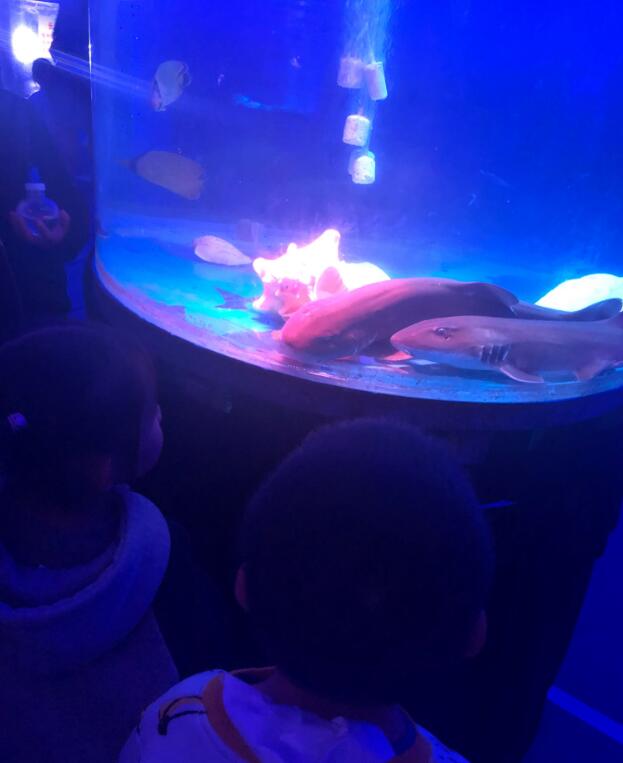 ������������ �����������༰ͼƬ