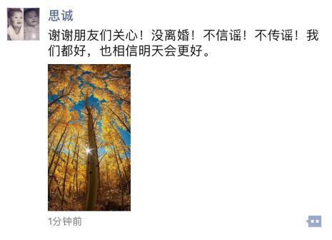 陈思成和佟丽娅离婚了吗 佟丽娅发朋友圈“重新开始”什么意思