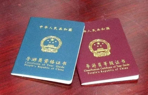 ���ڵĵ��ζ�Ҫ�е���֤�� �����ʸ�֤��ô���ɵ���֤