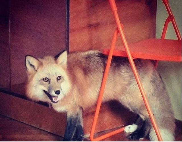 �����ܵ��������� �����ܻ��������Ŀ��Գɾ���