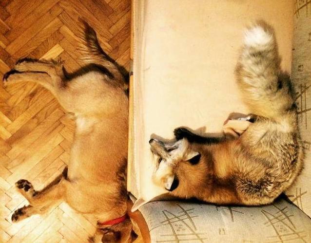 �����ܵ��������� �����ܻ��������Ŀ��Գɾ���