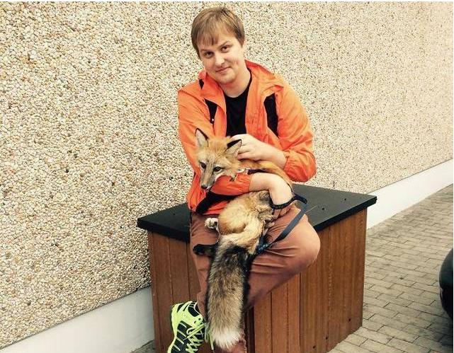 �����ܵ��������� �����ܻ��������Ŀ��Գɾ���