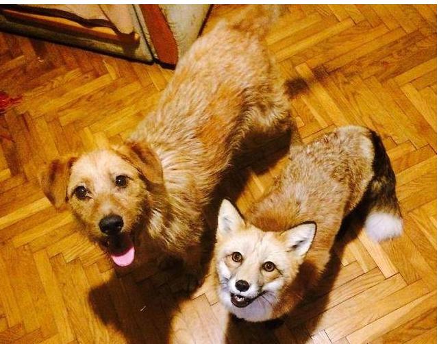 �����ܵ��������� �����ܻ��������Ŀ��Գɾ���