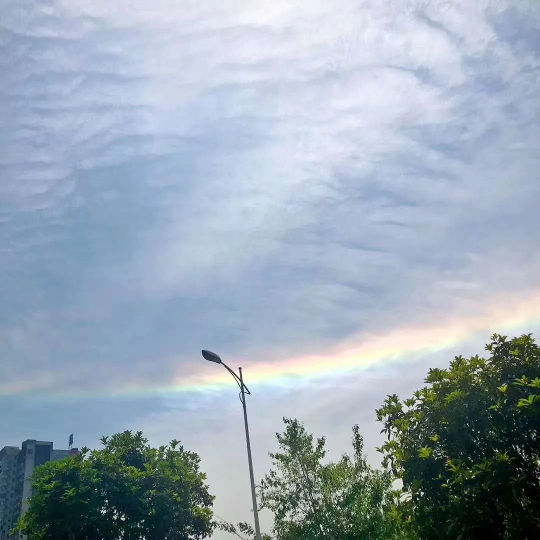 ��ʵ���߲�����������Ƭ �����߲�������ʲô����