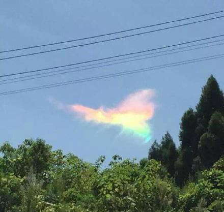 ��ʵ���߲�����������Ƭ �����߲�������ʲô����