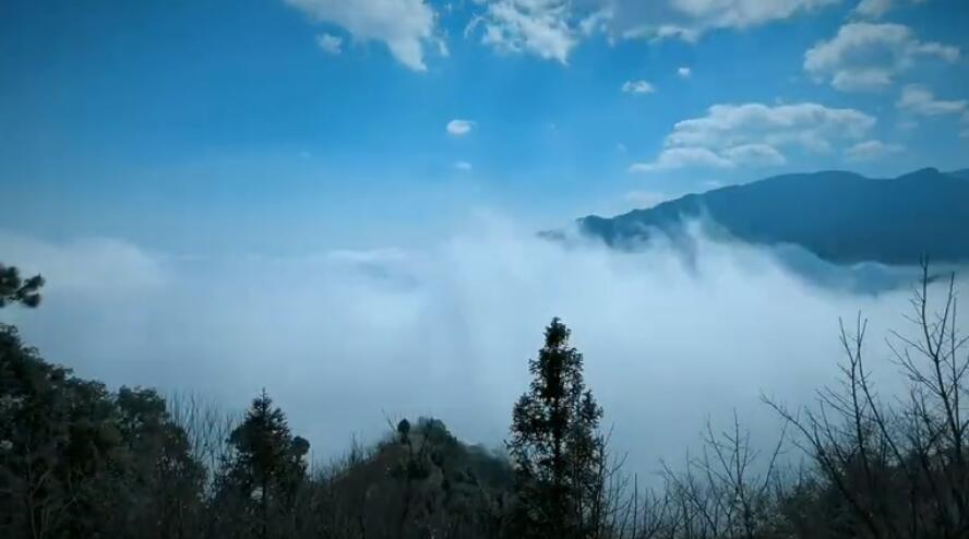 ����ɽ��������ʲô����ɽ ������ʲô��˼