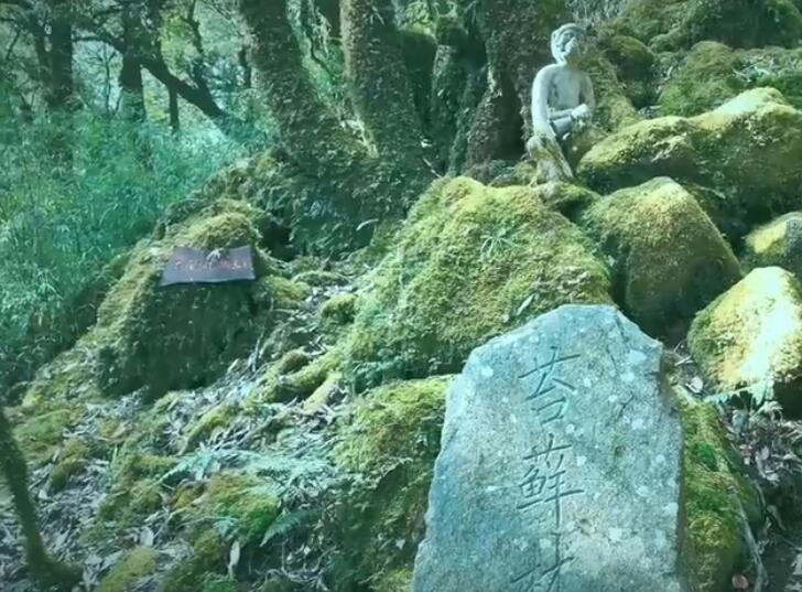 ����ɽ��������ʲô����ɽ ������ʲô��˼