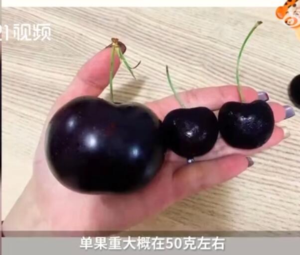 15J������ͼƬ �����Ӽ���Jʲô��˼