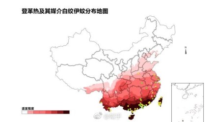白纹伊蚊咬的包图片 伊蚊在中国的分布情况是怎样的