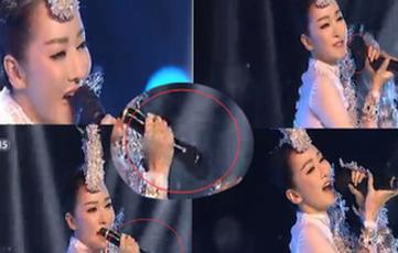 ���������������� �������Ǳ�������ļٵ�