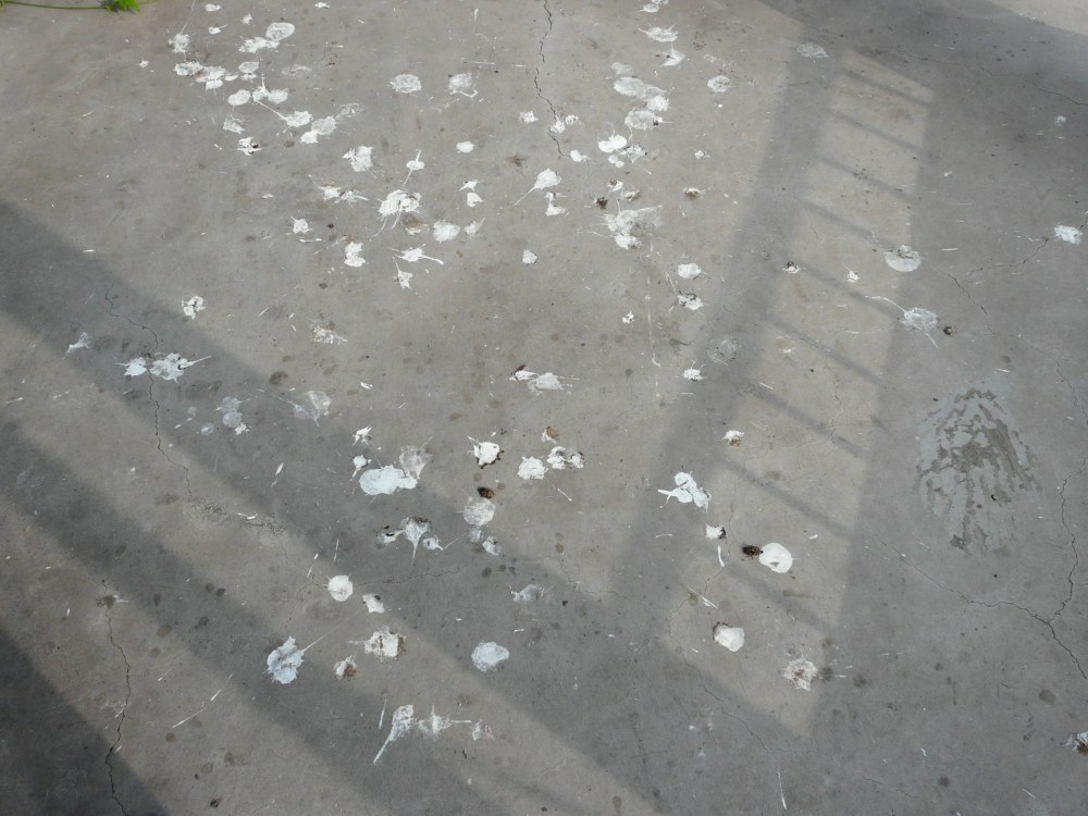 ����ʺ���а�ʾʲô �Լ���ô���˱����й�����