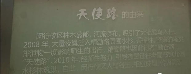 ����ʺ���а�ʾʲô �Լ���ô���˱����й�����