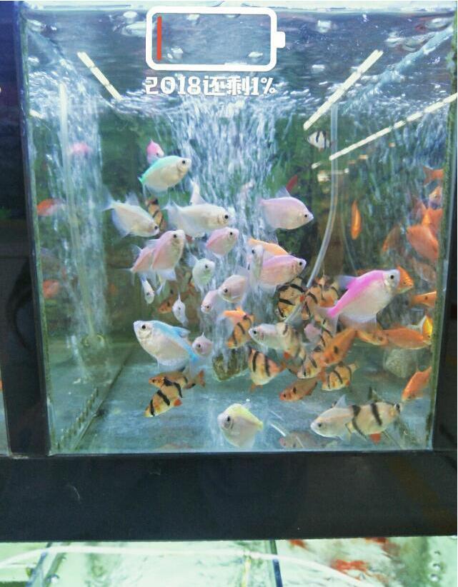 ������������ ����ΪʲôҪ������