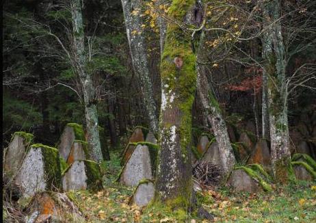 ���ϲ��������׻��Ǽ� ��˵�����ݺ�����ʲô��