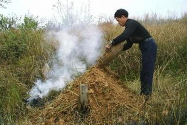 ���ϲ��������׻��Ǽ� ��˵�����ݺ�����ʲô��