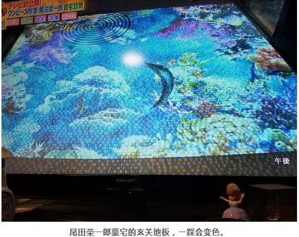 β����һ������״�� ������ߴ�31�ڶ���Ԫ