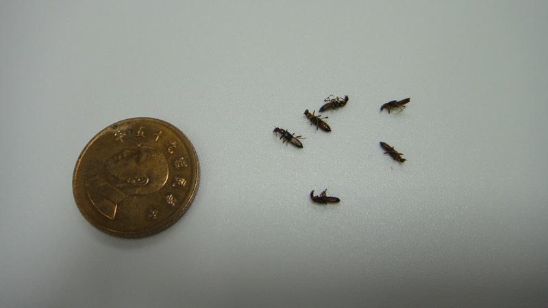 �����ҧ�˺�ͼƬ ����涣ҧ��֢״ͼ