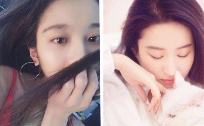 �Ż���Ϊʲô�������������� ��������ƺ���ĶԱ���