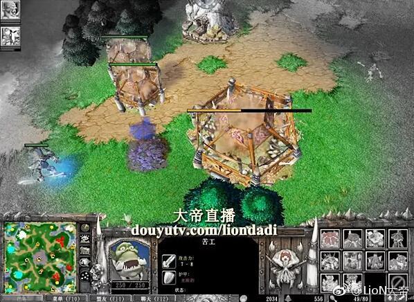 ��۵Ŀƶ���ʲô lion�����˭