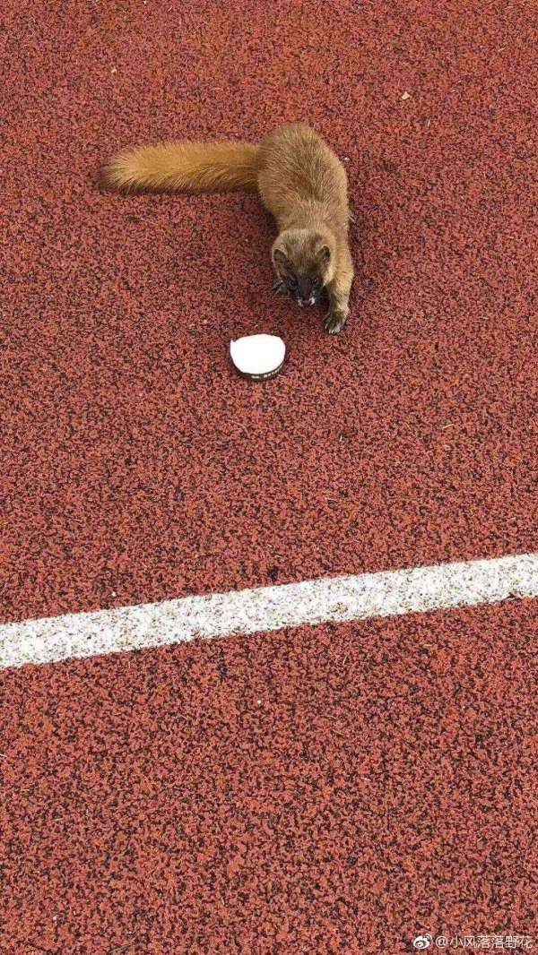 ���Ͽ��������Ƿ��� �������������ô����