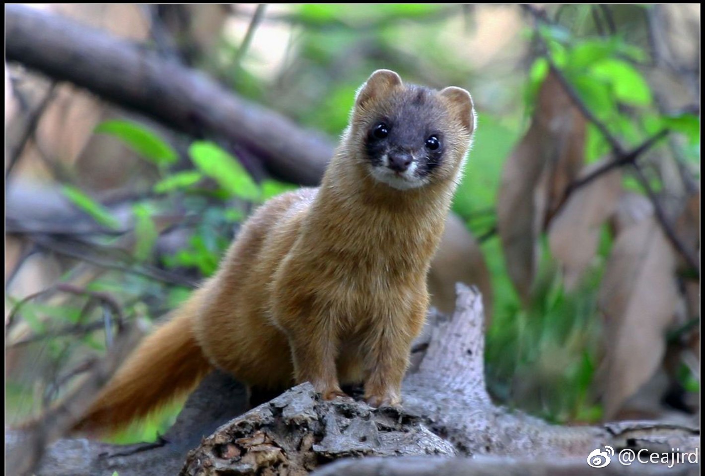 ���Ͽ��������Ƿ��� �������������ô����