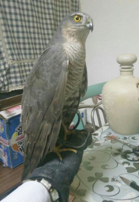 ��ë������ָ��ʲô���� Ϊʲô˵��ë����������