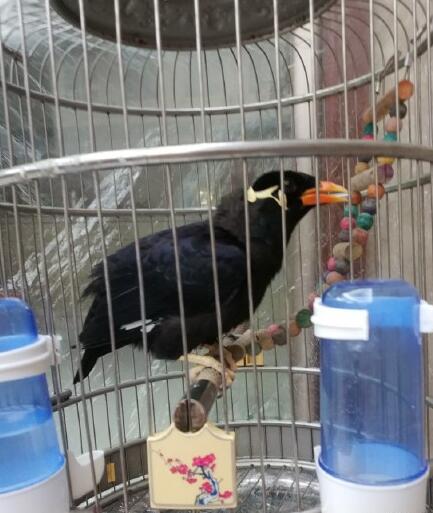 ��ë������ָ��ʲô���� Ϊʲô˵��ë����������