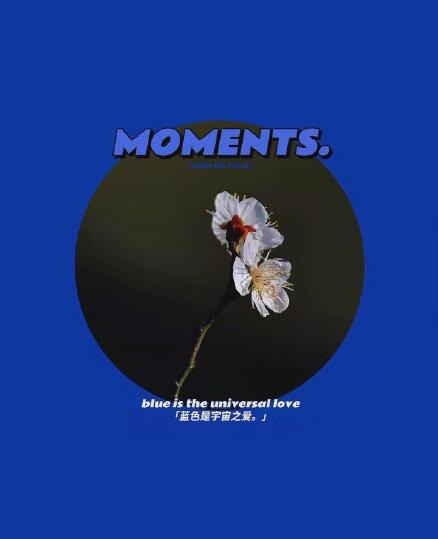 ��������ɫ��Ԣ�� �����ҵĿ���������ʲô��˼