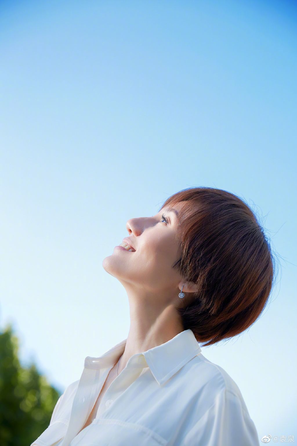 ԬȪΪʲô�������Ѫ���Ǻ����� ���ǻ�Ѫ�������������