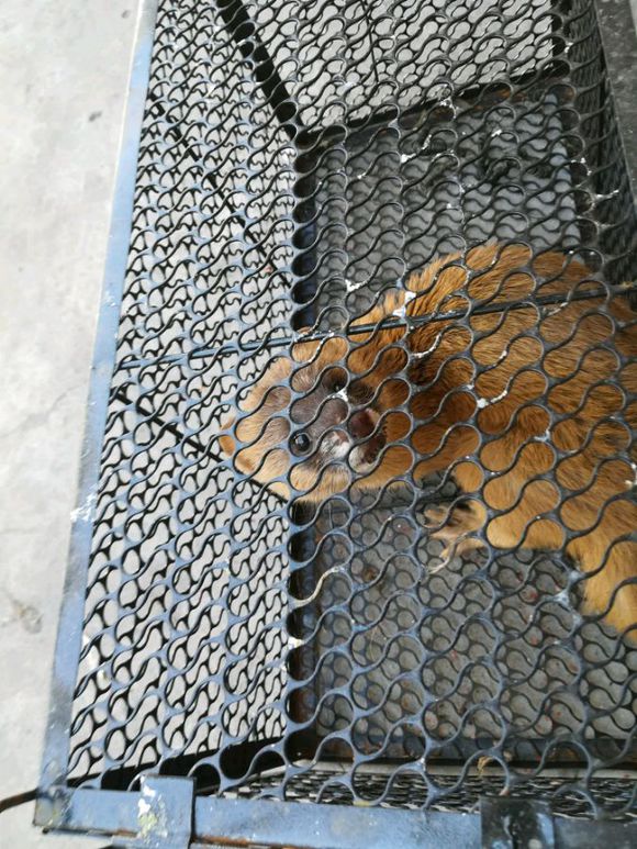 �����Ǹ�����ô������ ��ѧ���ƽⷽ��