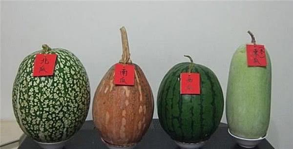 ������ʲô�� ����ȴ���˲������Ĺ�