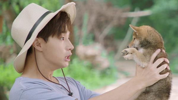 ���ܻ���˿Ϊʲô����� ���ܻ�Ϊʲô���ܽд�