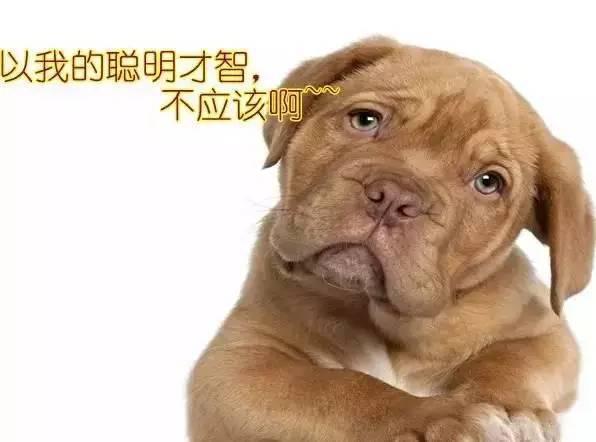 ���գ���Ȧͷ���ˡ���ë��������̫a�ˡ�tla��tag�ֱ�ɶ��˼