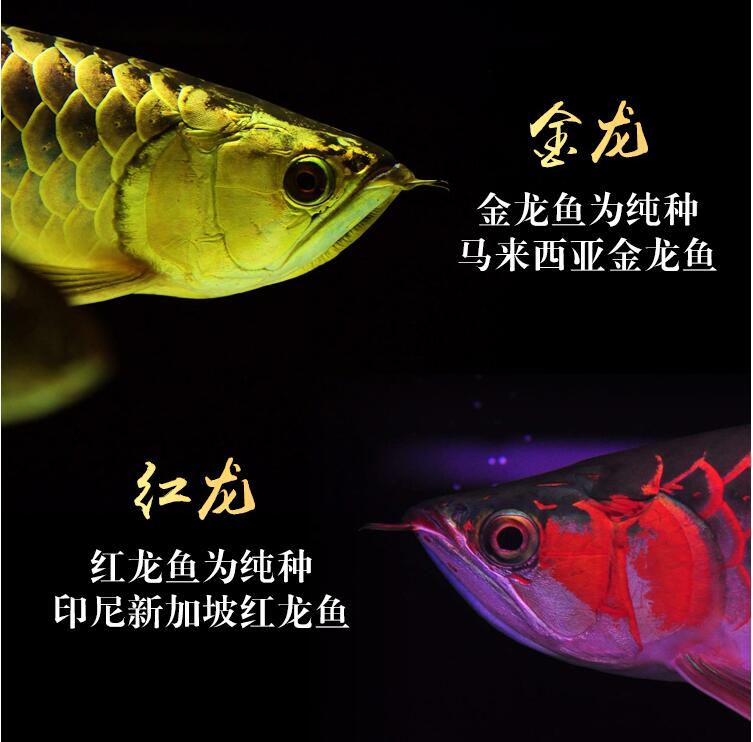 ��������ǽ������ �����㲻�ʺ�ʲô����