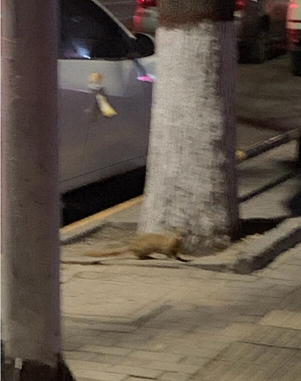 �����Ǹ�����ʲô֢״ ������ô������