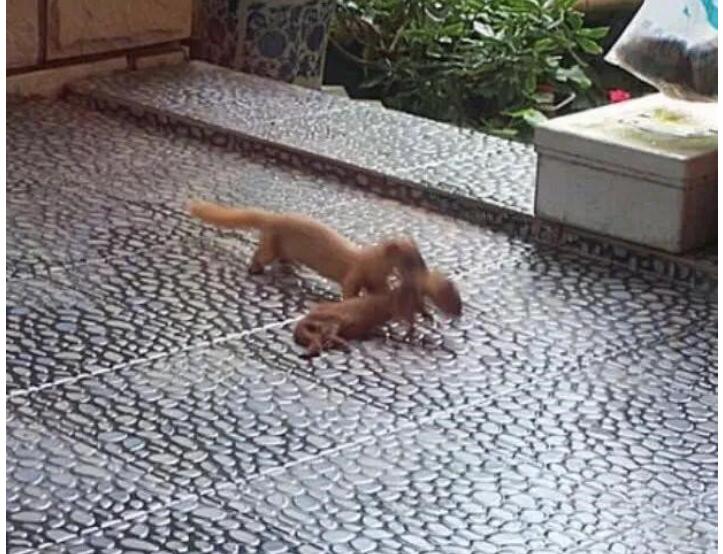 �����Ǹ�����ʲô֢״ ������ô������