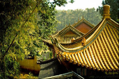 Ϊʲô����������������� ����ֺ������й������ͬ��