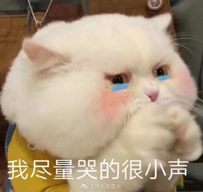 ͷ������ʲô��˼ ����������ƵĻ���