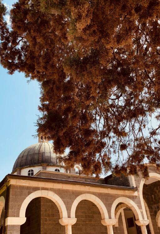 ��ɫ������̫�˵Ĺ����� ���ڻ��������ж���