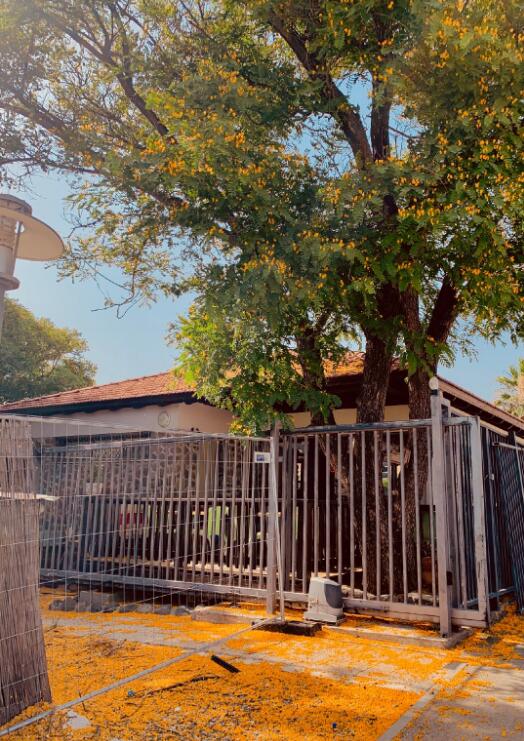 以色列是犹太人的国家吗 境内华人数量有多少