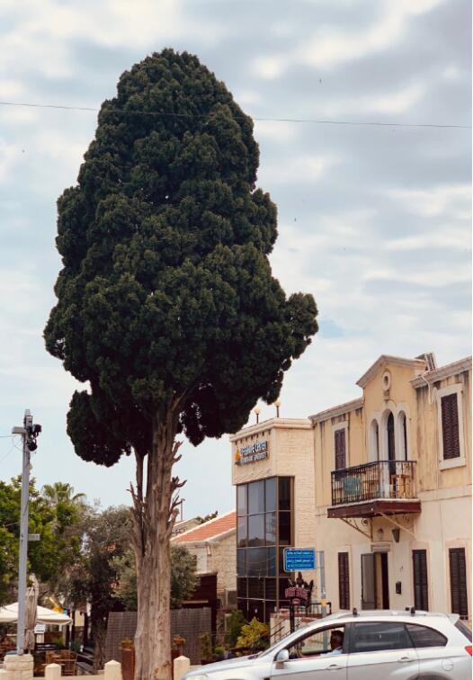 ��ɫ������̫�˵Ĺ����� ���ڻ��������ж���