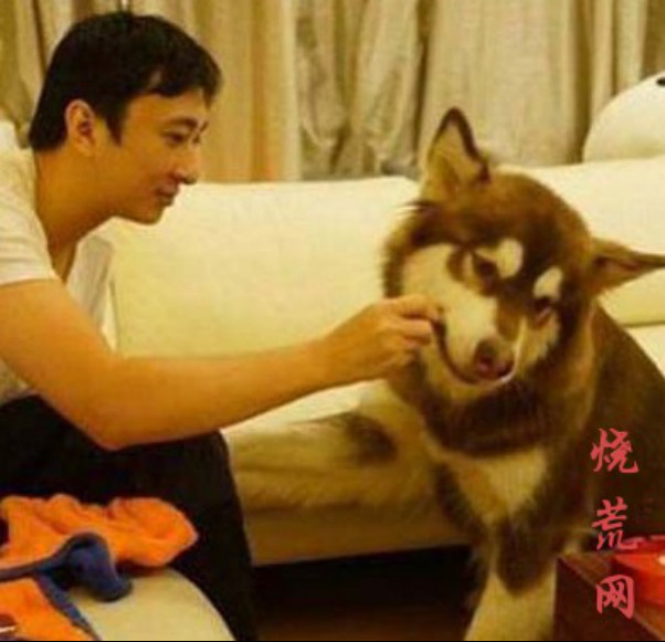 ���ɿ��ǹ��Ļ���ĸ�� ���ɿ�����˼�ϼ�������