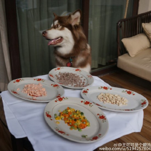 ���ɿ��ǹ��Ļ���ĸ�� ���ɿ�����˼�ϼ�������