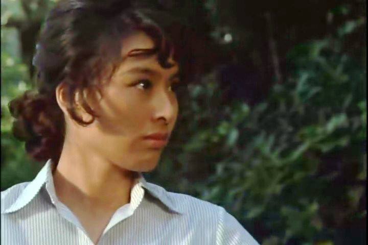 ��ԭС���ǻ�Ѫ���� ��Ϊ��һֱ�����