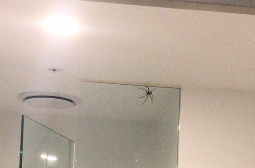 Ϊʲôǧ����ڷ������֩�� ֩����ʲô��ζ�Ͷ���