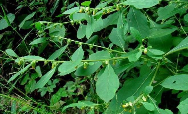 ¹�����Ĵ����� �����Ƕ�¹��ݲ�������Ȥ