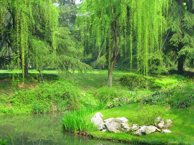 ���������һ�°����� �������������صĶ���